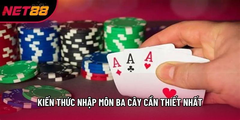 Kiến thức nhập môn ba cây cần thiết nhất