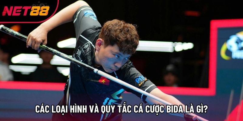 Các loại hình và quy tắc cá cược Bida là gì? Các loại hình và quy tắc cá cược Bida là gì?