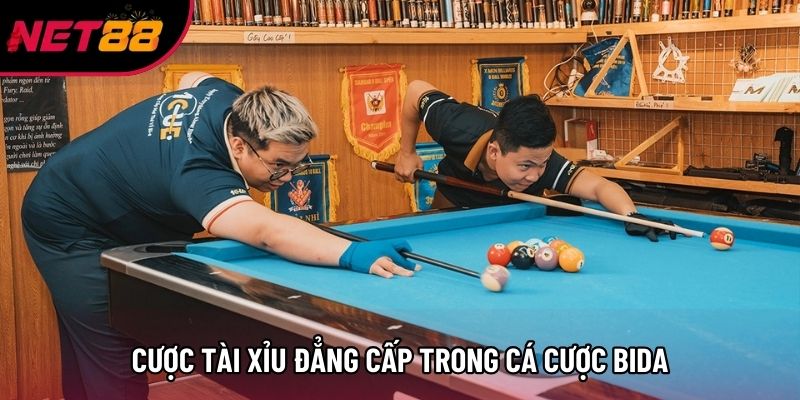 Cược tài xỉu đẳng cấp trong cá cược bida Cược tài xỉu đẳng cấp trong cá cược bida