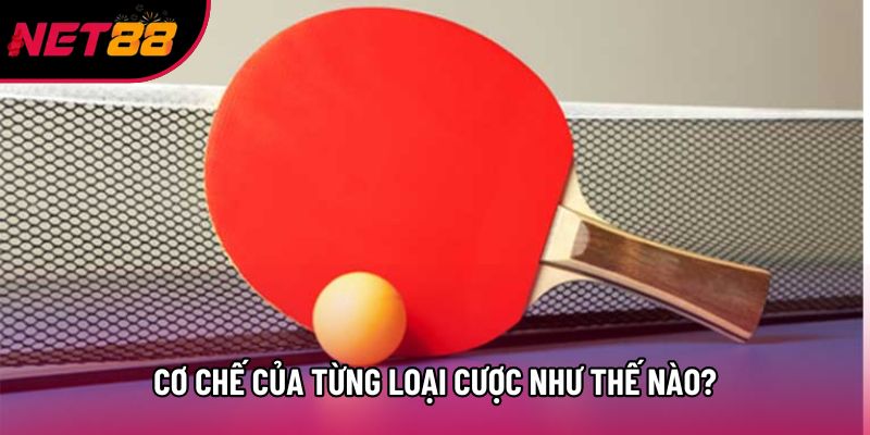 Cơ chế của từng loại cược như thế nào?