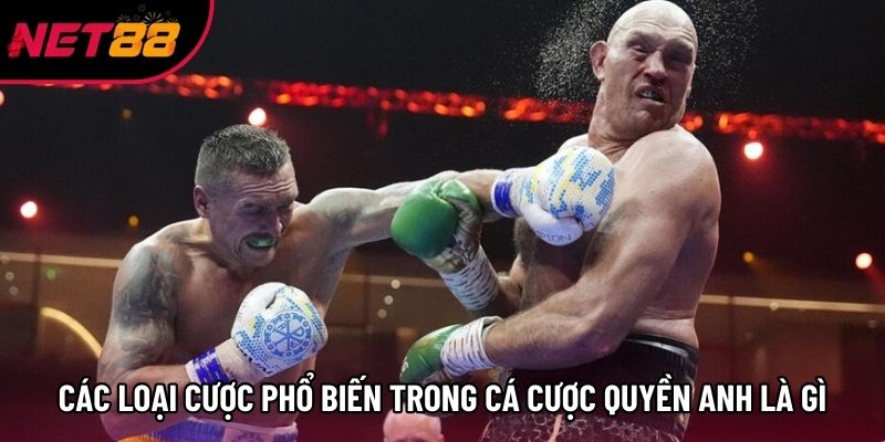 Các loại cược phổ biến trong cá cược quyền anh là gì