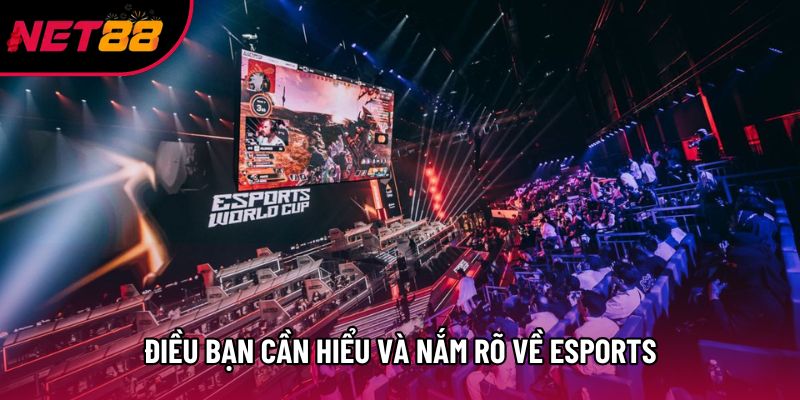 Điều bạn cần hiểu và nắm rõ về esports
