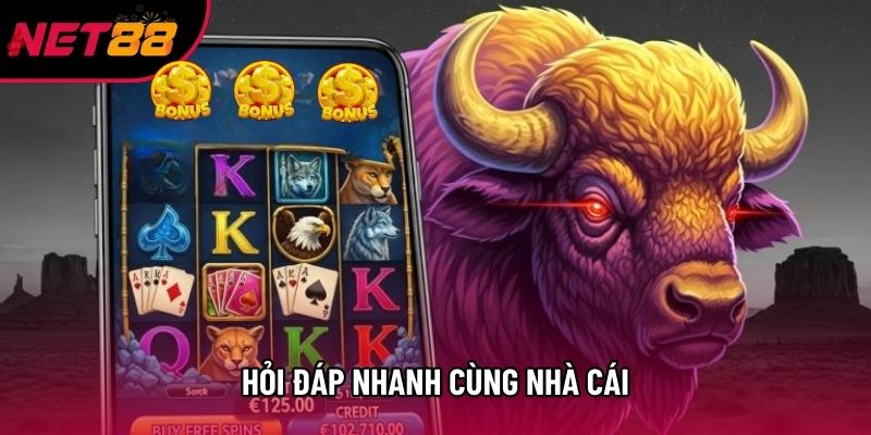 Hỏi đáp nhanh cùng nhà cái