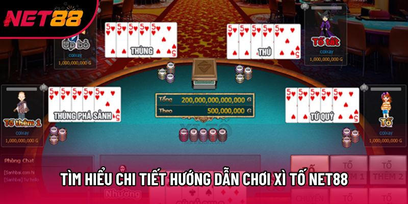 Tìm hiểu chi tiết hướng dẫn chơi Xì Tố Net88