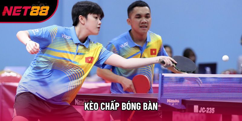 Kèo Chấp Bóng Bàn - Phân Tích Kỹ Thuật Chấp Điểm & Bí Kíp