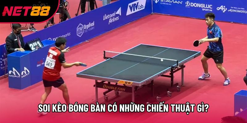 Soi kèo bóng bàn có những chiến thuật gì?