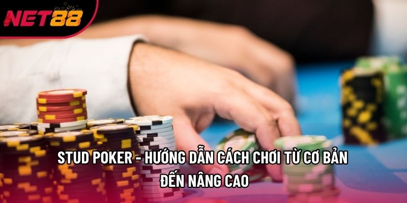 Stud Poker - Hướng Dẫn Cách Chơi Từ Cơ Bản Đến Nâng Cao