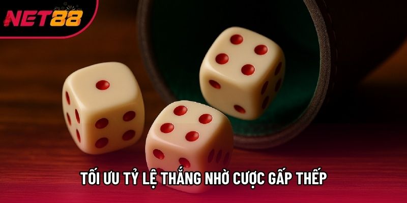 Tối ưu tỷ lệ thắng nhờ cược gấp thếp