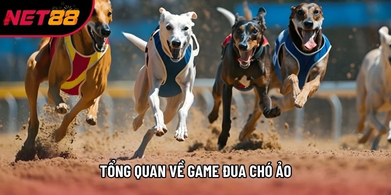 Tổng quan về game đua chó ảo