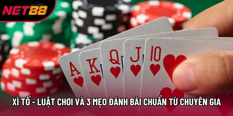 Xì Tố - Luật Chơi Và 3 Mẹo Đánh Bài Chuẩn Từ Chuyên Gia