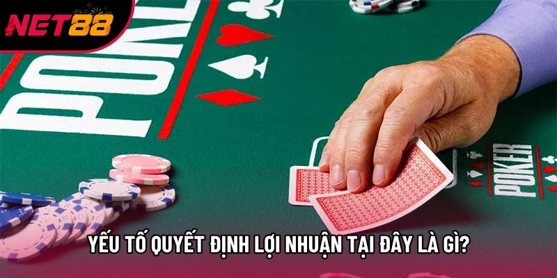 Yếu tố quyết định lợi nhuận tại đây là gì?